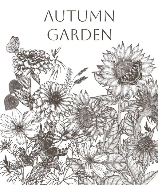  Векторная рамка осенний сад. Косметические цветы, анисы, эхинацеи и подсолнухи в окружении бабочек в очаровательном стиле