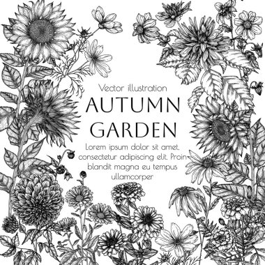  Sonbahar çiçeklerinin vektör çizimi. Dahlia, kozmos, zinnia, marigold, calendula, rudbeckia, oymacılık tarzında ayçiçeği