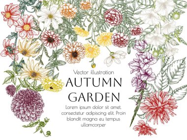  Vektör çerçeveli sonbahar bahçesi. Dahlia, kozmos, zinnia, marigold, calendula, rudbeckia, gladiolus, datura oymacılık stili