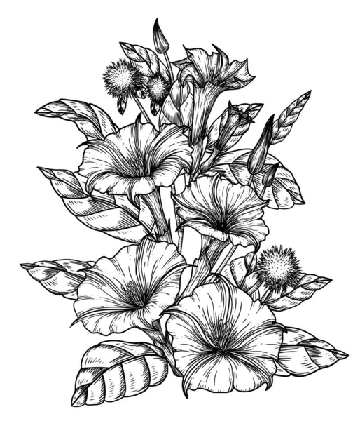 Ilustração Vetorial Arbusto Flores Datura Estilo Gravura —  Vetores de Stock