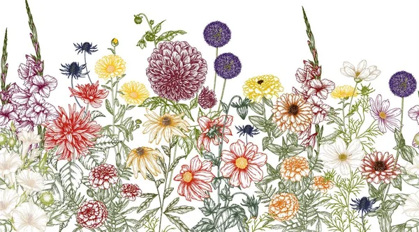  Kusursuz yatay sonbahar bahçesi. Dahlia, kozmos, zinnia, marigold, calendula, rudbeckia, gladiolus, datura, eryngium, gravür stili allium