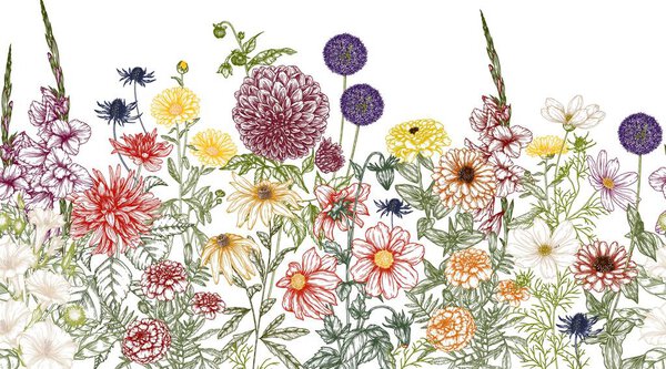  Бесшовный горизонтальный рисунок осеннего сада. Феллини, Косьелни, Феня, Мариголд, Календула, Рудбекия, Гладиолусы, Датура, Эрингия, Фалунь в завидном стиле