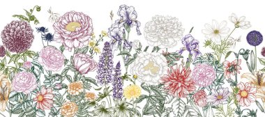  Kusursuz yatay desenli bahçe sonbahar ve yaz çiçekleri. Gül, zambak, lale, şakayık, irise, yıldız çiçeği, kozmos, zinnia, marigold, calendula, rudbeckia, gladiolus, datura, eryngium, allium