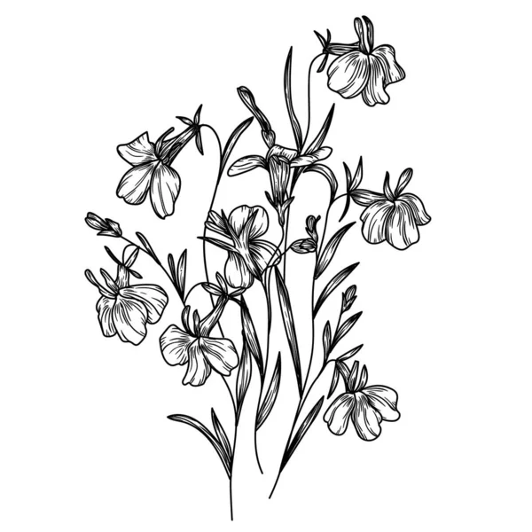 Vector Illustration Lobelia Flowers Engraving Style — Stock Vector