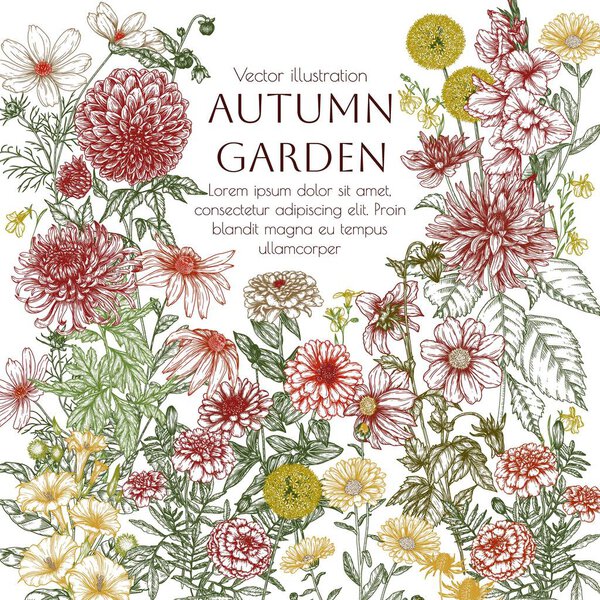 Векторная рамка осенний сад. Лилия, коза, фея, маригольд, календула, рудбекия, гладиолус, датура, эрингия, фея, хризантема, лобелия в завидном стиле