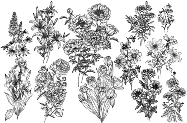 Vector Set Flowers Mono Bouquets Engraving Style Lupine Irises Peonies — Stock Vector