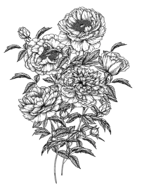 Illustration Vectorielle Bouquet Pivoines Style Gravure — Image vectorielle