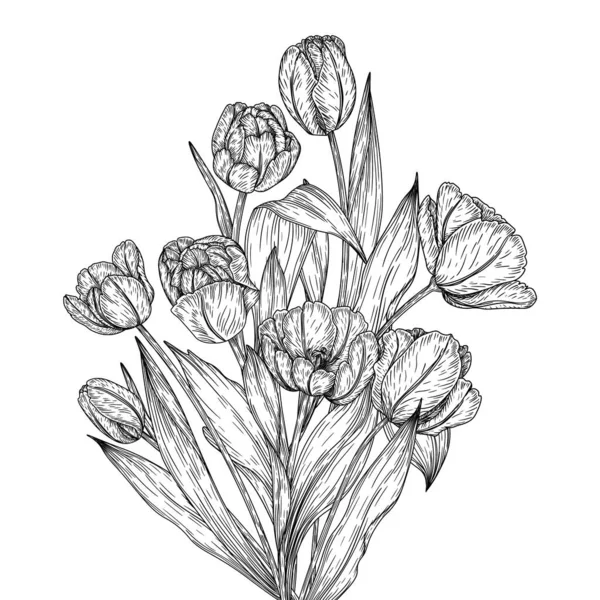 Векторна Ілюстрація Букета Квітів Тюльпанів Стилі Гравюри — стоковий вектор