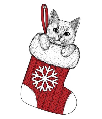  Noel hediyesi çorabındaki bir kedi yavrusunun kabartma tarzındaki vektör çizimi