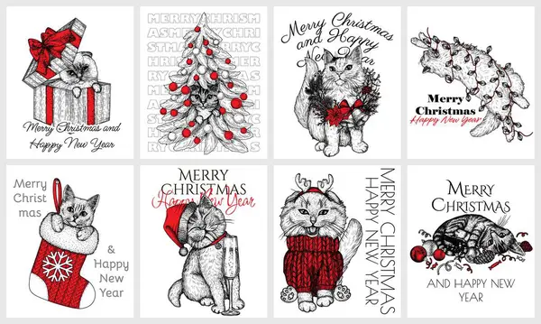 İçinde Noel kedileri olan 8 posterli bir vektör seti. Siyam kulaklı, tekir, İngiliz, tüylü. Bir Noel ağacında, Noel süsleriyle, bir hediye kutusunda, bir çelenge sarılmış, bir Noel çorabında