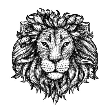  İşleme tarzında bir aslan başının vektör illüstrasyonu