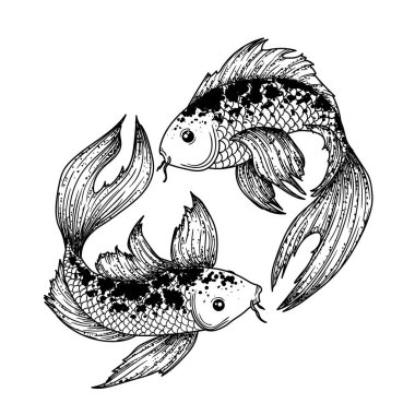  İşleme tarzında bir koi balığının vektör çizimi