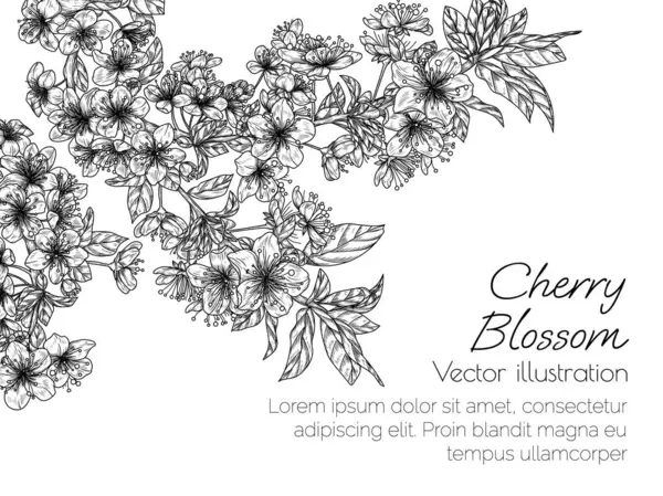 Ilustración Vectorial Una Rama Flores Cerezo Estilo Grabado — Archivo Imágenes Vectoriales
