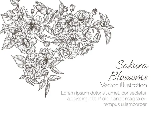 Plantilla Tarjeta Vectorial Con Una Rama Sakura Floreciente Estilo Grabado Gráficos vectoriales