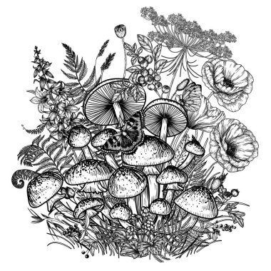  Orman bitkileri, çiçekler, böğürtlenler ve kelebeklerle çevrili bal mantarının vektör çizimi. Haşhaş, çan, dut, gül kalçası, yabanmersini, diken