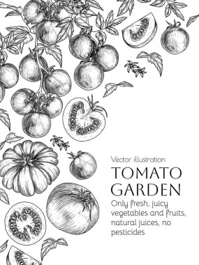  Domateslerin oymacılık tarzında vektör çerçevesi. Çeri domatesli, yapraklı, domatesli, yarısı dilimlenmiş.