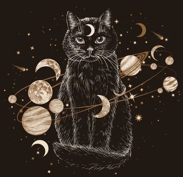 Gezegenleri oyma tarzında olan bir galaksiyle çevrili bir kara kedinin vektör çizimi