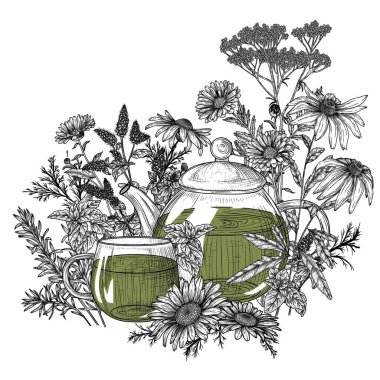  Bitki çayının vektör çizimi. Çaydanlık ve fincan. Nane, papatya çayı, takvim, ekinezya, biberiye.