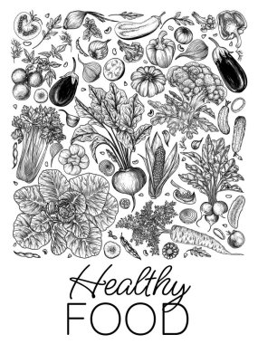  Sağlıklı yiyeceklerin vektör çizimi. Sebze ve sebze. Havuç, kereviz, lahana, pancar, turp, salatalık, domates, mısır, biber, brokoli, patlıcan, soğan, nane, sarımsak, fasulye, roka