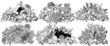  6 sebze bileşiminden oluşan vektör kümesi. Tam ve kesilmiş sebzeler, dilimler, yarımlar, yeşiller. Market broşürü. Taze çiftlik meyveleri. Organik tarım. Beslenme bayrağı, sağlıklı beslenme