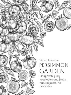  Hurma ağacıyla vektör sınırı ve oymacılık tarzında meyve dilimi. Market broşürü. Taze çiftlik meyveleri. Organik tarım. Beslenme bayrağı, sağlıklı beslenme