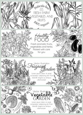  Oyma tarzında sebze ve otlarla birlikte 4 yatay pankart seti. Şablon çiftliği organik tarım. Market kartı. Sağlıklı yemek broşürü. Düzgün beslenme ürünleri