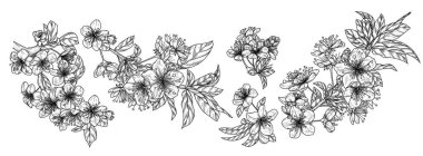 Çiçek açan vişneli 5 vektör seti. Bahar çiçeği koleksiyonu. Kabartma tarzında çiçek açan dalların zarif dekoru. Davetiyeler, kartlar, afişler, ambalajlar