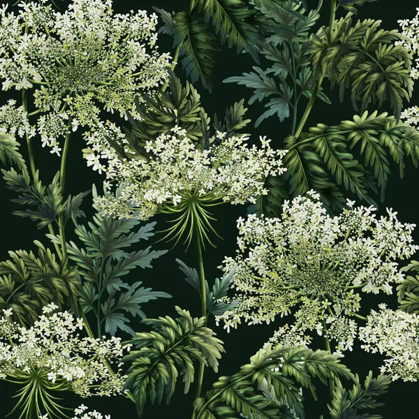 Daucus Carota 'nın koyu arkaplanda kusursuz bir deseni var. Şifalı bitkilerin baskısı. Yaban çiçekli duvar kâğıdı. Dekor için yeşil çayır çiçeklerinin arkaplanı