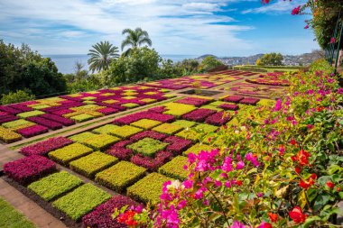 Ünlü tropikal botanik bahçeleri Funchal şehirde, Madeira Adası, Portekiz