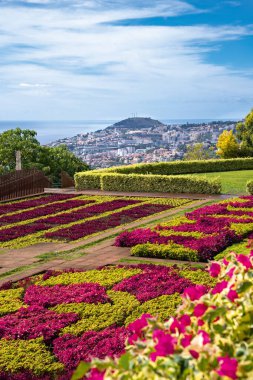 Ünlü tropikal botanik bahçeleri Funchal şehirde, Madeira Adası, Portekiz