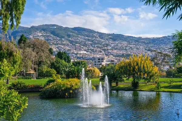 Fountains Santa Catarina Park One Largest Parks Funchal Royalty Free Stock Photos