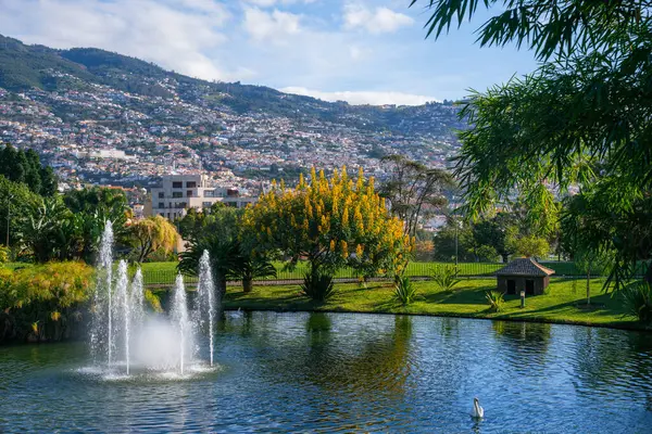 Fountains Santa Catarina Park One Largest Parks Funchal Royalty Free Stock Images