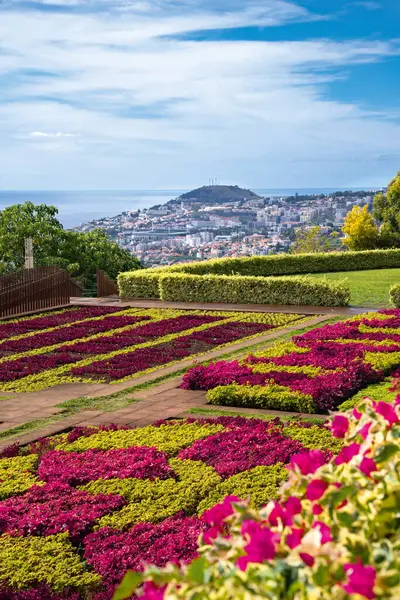 Berühmte Tropische Botanische Gärten Funchal Stadt Insel Madeira Portugal Stockbild