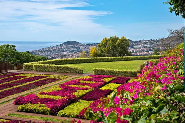 Famous Tropical Botanical Gardens Funchal Town Madeira Island Portugal Stock Photo