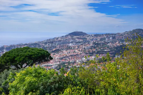Aerial View Funchal Madeira Island Portugal Stock Image