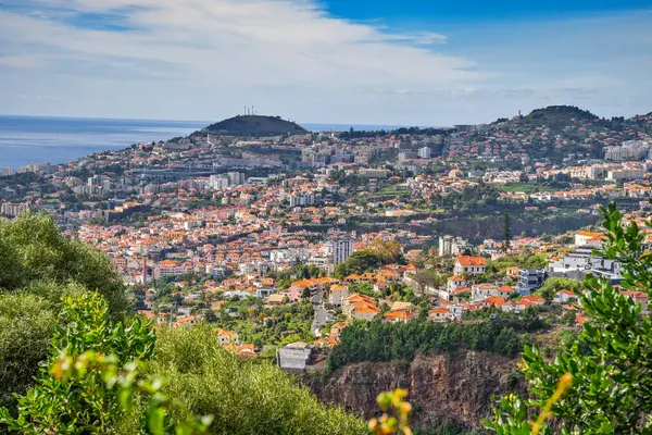 Luftaufnahme Von Funchal Insel Madeira Portugal Stockfoto