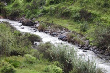 Dağlardaki güzel nehir. doğa arkaplanı