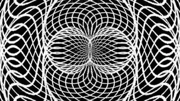 Optical Art Movement Background White Lines Black Moire Symmetric Pattern — Stock Video