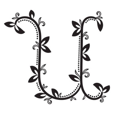 Zarif siyah sarmaşık ve yapraklardan oluşmuş klasik botanik U. Dekoratif monogramlar, düğün tasarımı ya da çevre temalı markalar için mükemmel..
