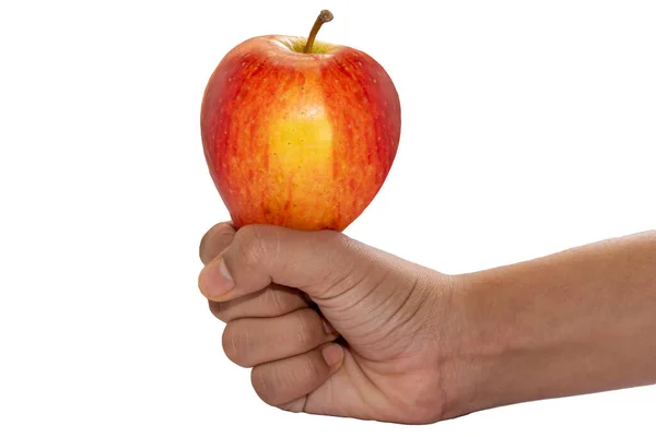 Fist Apple Isolated White Background — Stock Photo, Image
