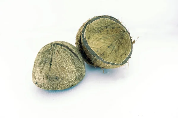 Kokosnoot Gebroken Schelp Geïsoleerd Witte Achtergrond — Stockfoto