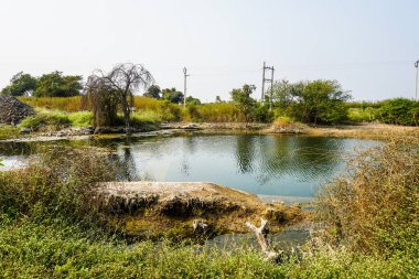 Göleti olan güzel bir manzara.