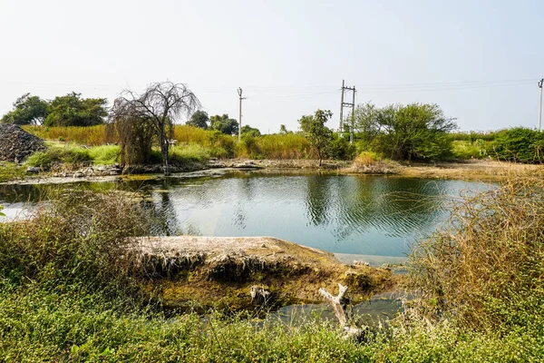 池のある美しい風景 ロイヤリティフリーのストック画像