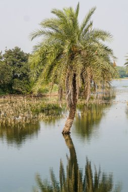 açık hava manzarasının resimsel görüntüsü