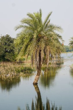 açık hava manzarasının resimsel görüntüsü