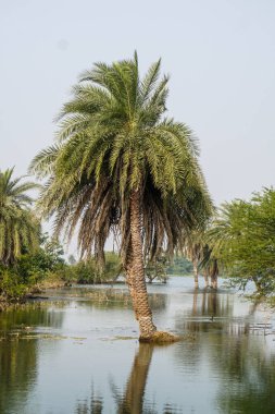 açık hava manzarasının resimsel görüntüsü