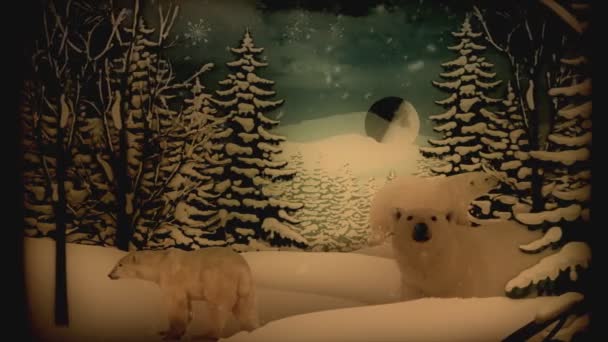 Moonlit Mosey Jegesmedvék Egy Havas Erdőben Csodaországban Tapasztalja Meg Tél — Stock videók