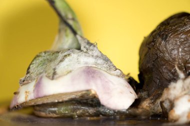 Detaylardaki çürüme: Doğanın Çürüme Döngüsü Macro Çalışması, çürüyen bir patlıcanın bu makro çekiminde çürümenin büyüleyici güzelliğini deneyimleyin. Görüntü, dönüşümün karmaşık detaylarını yakalar.