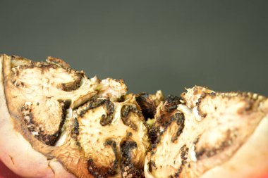 Doğanın Kanvası: Çürüyen Brinjal 'ın Soyut Sanatsal Sanatı, bu resim çürüyen Brinjal' a yakından bakarak, doğal bozulma sürecinin oluşturduğu karmaşık desenleri ve dokuları gözler önüne seriyor..