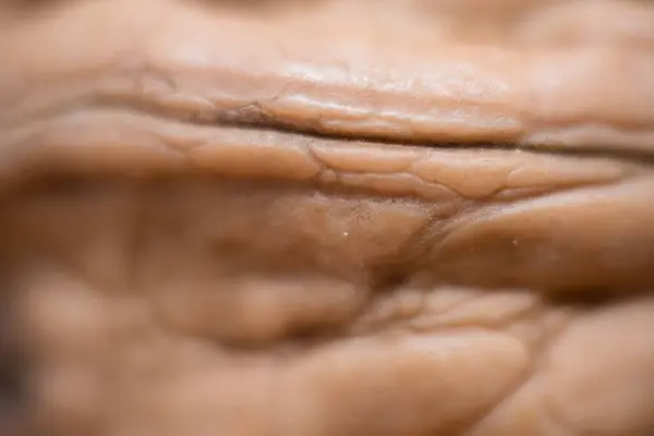 Nature Complexity: Close-Up of a Walnut Shell's Intricate Texture, Dive into the intricate world of nature with this close-up shot of a walnut shell. The image captures the complex patterns, textures